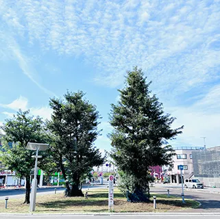 地域の風景